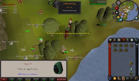 osrs pheasent egg|Golden Pheasant Egg : r/2007scape .